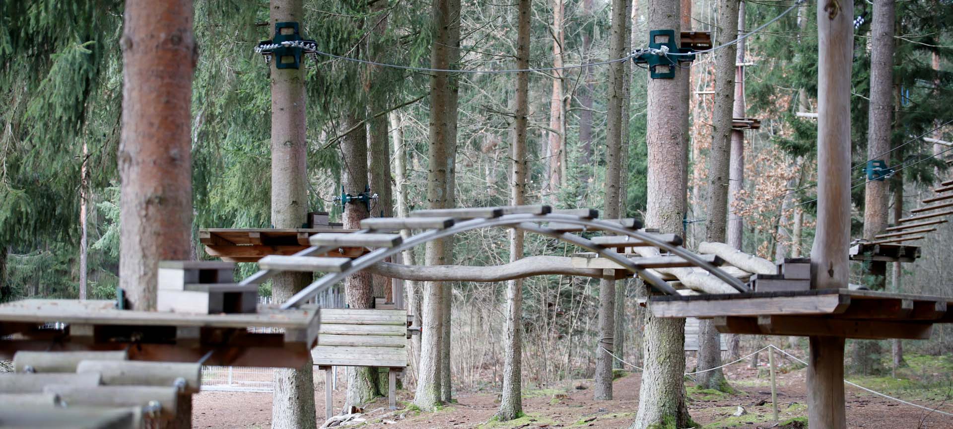 Kletterwald mit Brücke