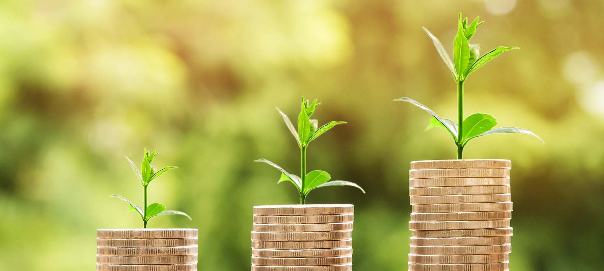 Kletterwald Preise und Rabatte