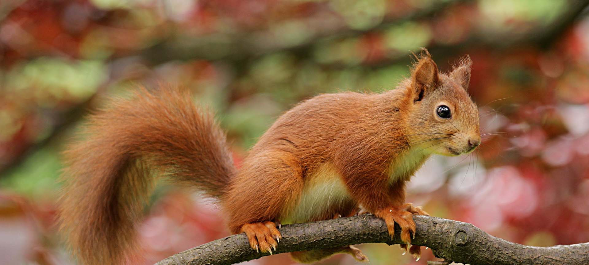 Kletterwald Gruppen und Schulklassen