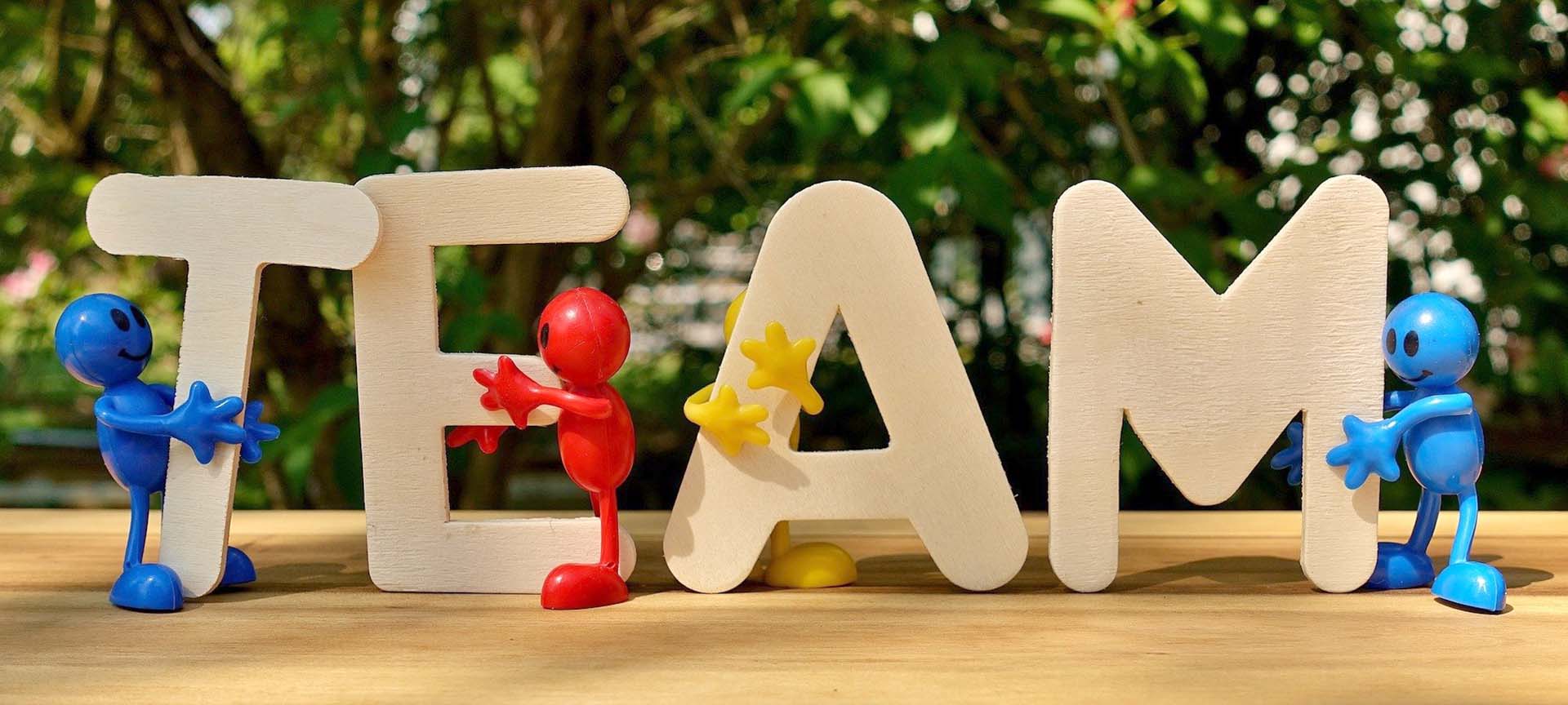 Kletterwald für Unternehmen und Teams